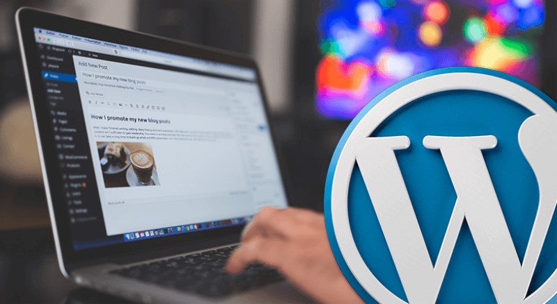 Experto WordPress en Madrid